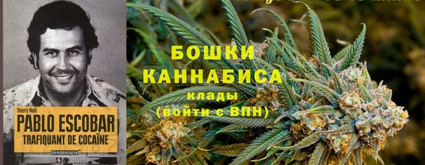 гидра Новокубанск