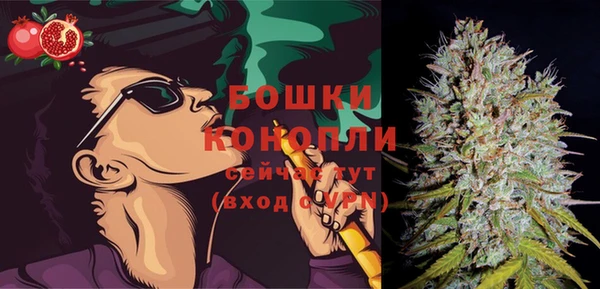 гидра Новокубанск