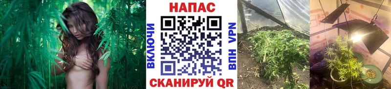 МАРИХУАНА Bruce Banner  Соликамск 